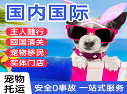 山南隆子航空空运国际宠物托运 【国